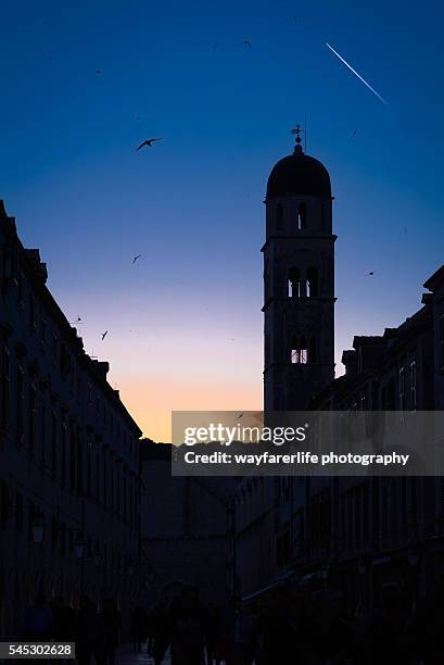 stradun street at sunset, dubrovnik, croatia - dubrovnik old town foto e immagini stock