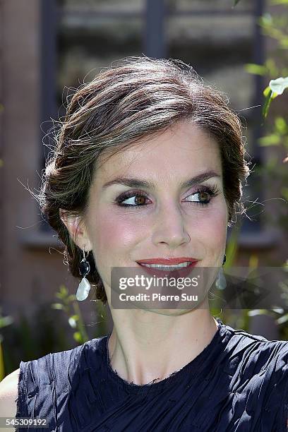 Queen Letizia of Spain Attends A Lunch At Ministere Of Ecology with French Minister for Ecology, Sustainable Development and Energy Segolene Royal on...