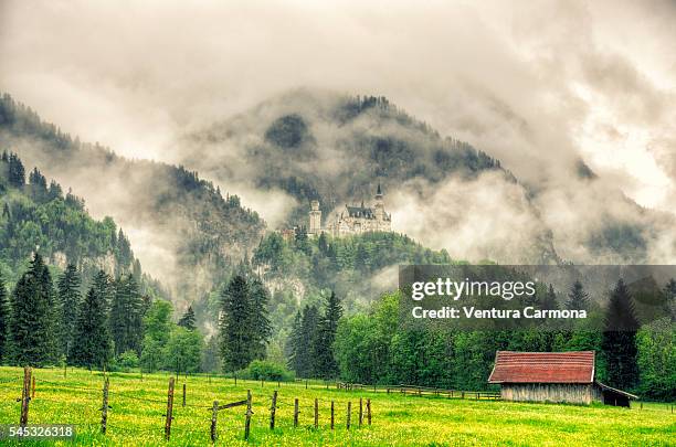 neuschwanstein castle - schwangau stockfoto's en -beelden