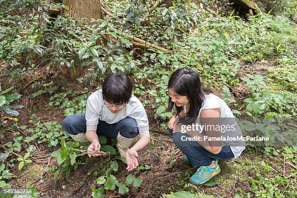 young japanese man picking and showing wasabi plant to woman - wasabi farming in japan stock pictures, royalty-free photos & images