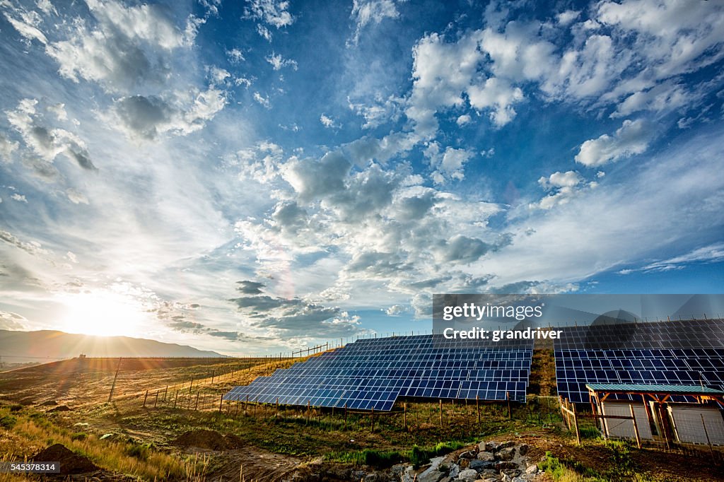Field Of Solar Panels In A Rural Setting