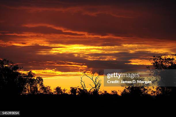 Dogs, horses and fires on the farm on April 17, 2009 in Young, NSW, Australia. After months of drought, farmers in NSW are still longing for good...