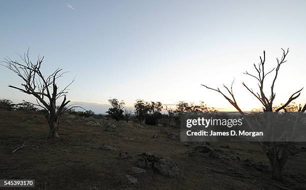 Dogs, horses and fires on the farm on April 17, 2009 in Young, NSW, Australia. After months of drought, farmers in NSW are still longing for good...