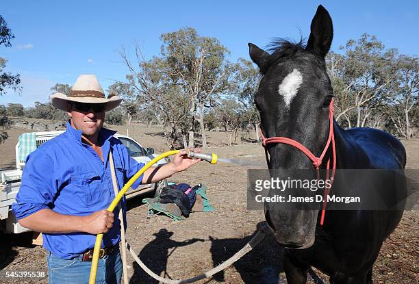 Dogs, horses and fires on the farm on April 17, 2009 in Young, NSW, Australia. After months of drought, farmers in NSW are still longing for good...