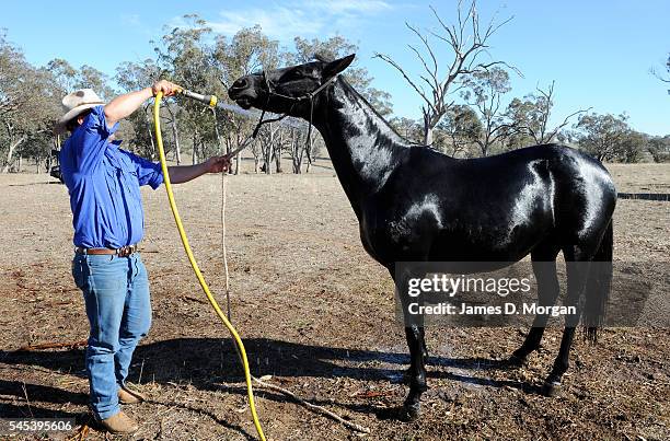 Dogs, horses and fires on the farm on April 17, 2009 in Young, NSW, Australia. After months of drought, farmers in NSW are still longing for good...