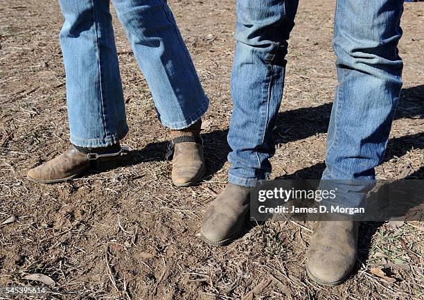 Dogs, horses and fires on the farm on April 17, 2009 in Young, NSW, Australia. After months of drought, farmers in NSW are still longing for good...