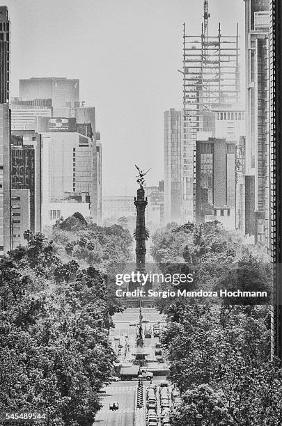 ángel de la independencia - mexico city, mexico - angel of independence stock pictures, royalty-free photos & images