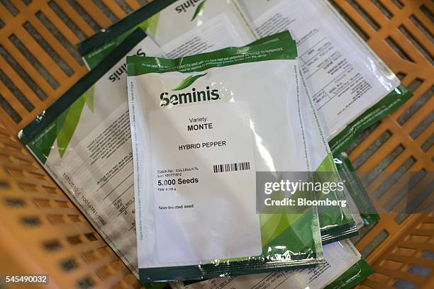 Pouches of hybrid pepper seeds sit in a bin at the Seminis processing plant, the vegetable seeds division of Monsanto Co., in Enkhuizen, Netherlands,...