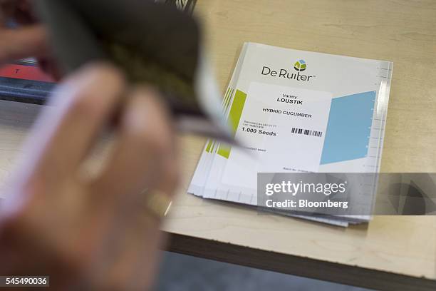 An employee inspects a pouch of hybrid cucumber seeds as samples are packaged at the Seminis processing plant, the vegetable seeds division of...