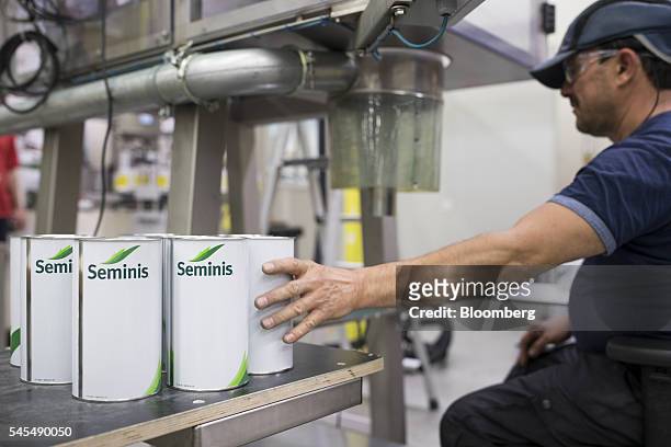 An employee fills tins with hybrid squash seeds at the Seminis processing plant, the vegetable seeds division of Monsanto Co., in Enkhuizen,...