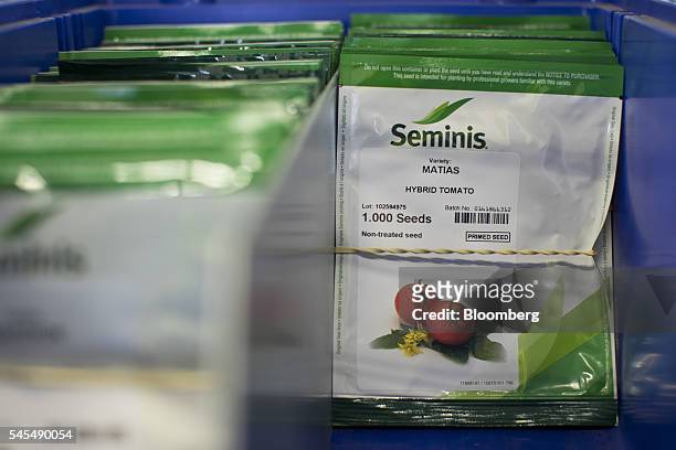 Pouches of hybrid tomato seeds sit bound by an elastic band at the Seminis processing plant, the vegetable seeds division of Monsanto Co., in...