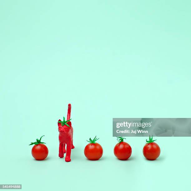 toy cat painted like a tomato in row with cherry tomatoes - camouflaged cat ストックフォトと画像