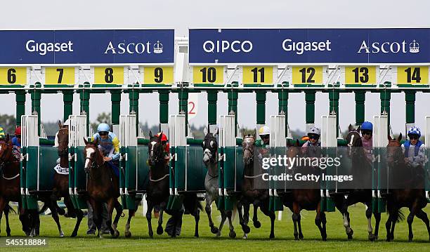 Starting Post Racetrack Horse Race Starting Stalls Photos and Premium High Res Pictures - Getty ...