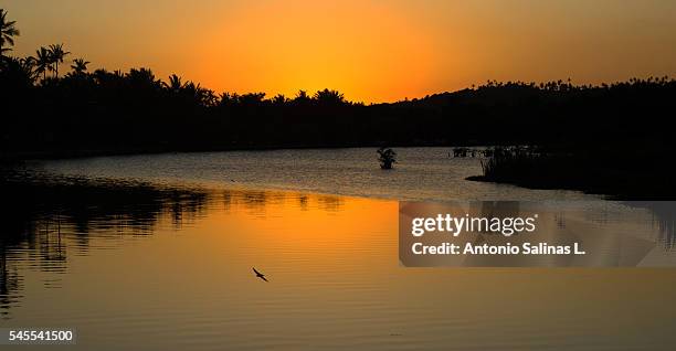 praia do forte at sunset, reflected on lagoon. - forte beach stock-fotos und bilder