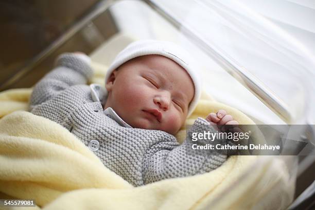 a new born baby girl at the maternity ward - infant photos et images de collection