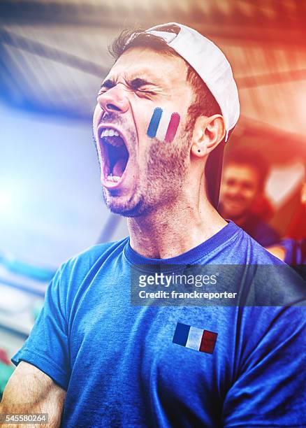 french supporters at stadium cheering - face paint stock pictures, royalty-free photos & images