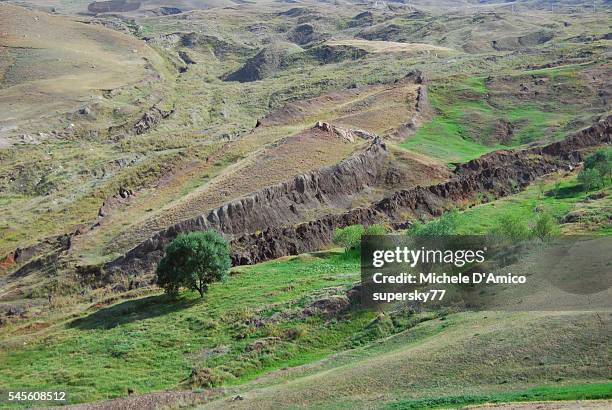 noah's ark - noahs ark stock pictures, royalty-free photos & images
