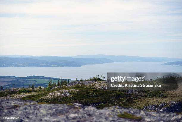 view from a mountain top - trondheim stock-fotos und bilder