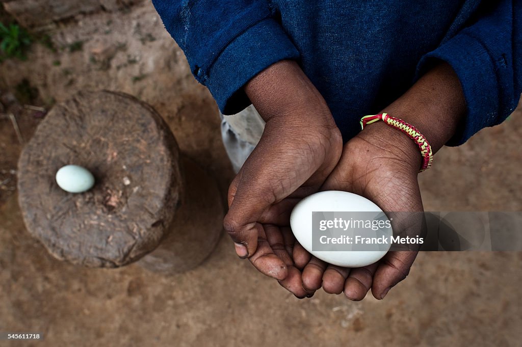 Girl holding a duck egg in her hands ( Madagascar)