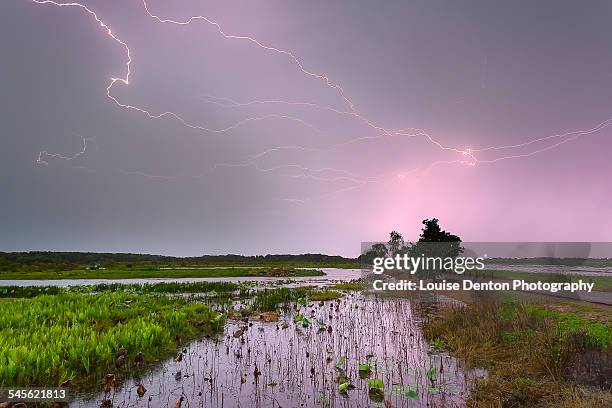 lightning over fogg dam - northern territory stock pictures, royalty-free photos & images