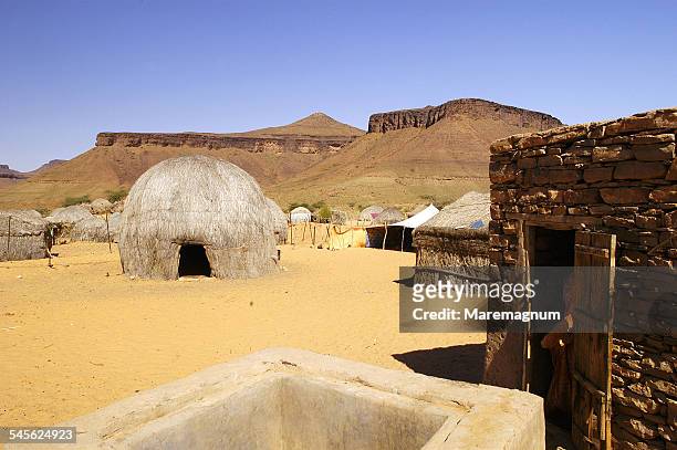 the oasis - mauritania fotografías e imágenes de stock