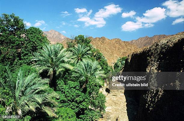 7,924 Hadjar Stock Photos, High-Res Pictures, and Images - Getty Images