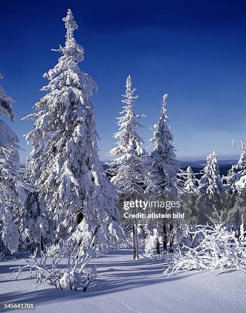 Winterwald im Erzgebirgecol- 1993