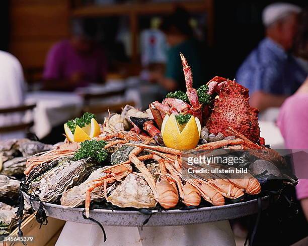 Meeresfrüchte - Schale mit Austern,Langusten, Krabben und Hummer