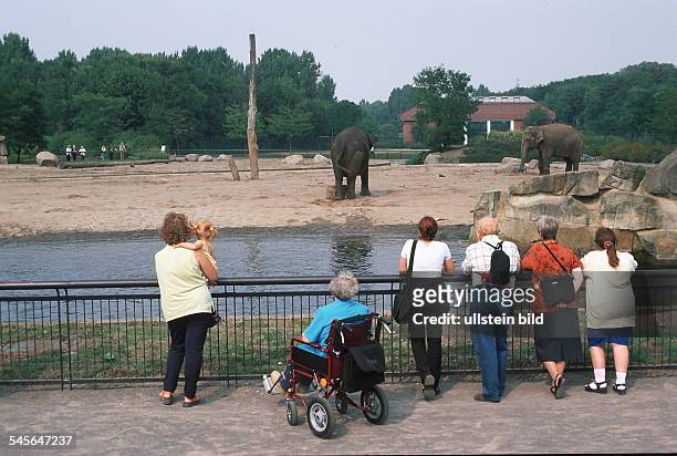 Besucher am Elefantengehege- 1999