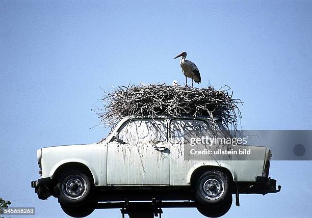 Störche nisten in einem Trabant inBechlin, bei Neuruppin- 1998