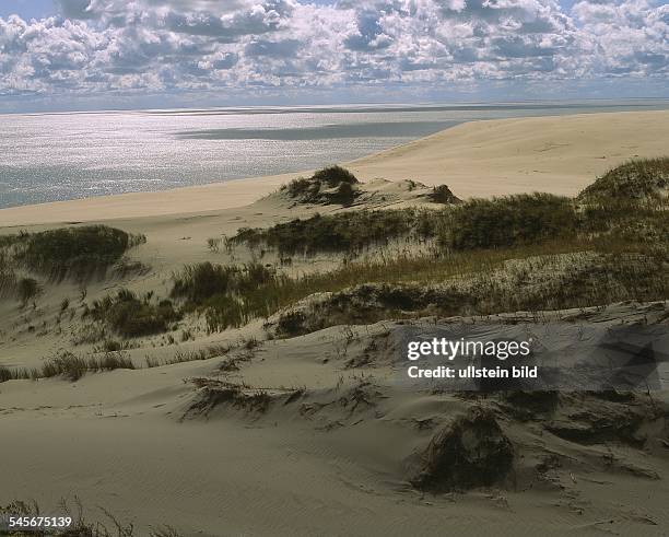 Dünen am Haff zwischen Rossittenund Pillkoppen- 1993