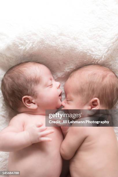 newborn twin babies sleep together - fraternal twin stock pictures, royalty-free photos & images