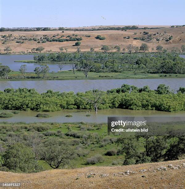 Landschaft am Murray River - 2000