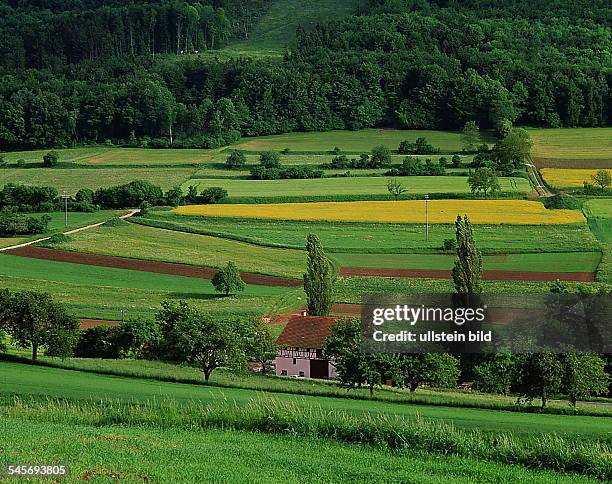 Landschaft in Franken- 1994