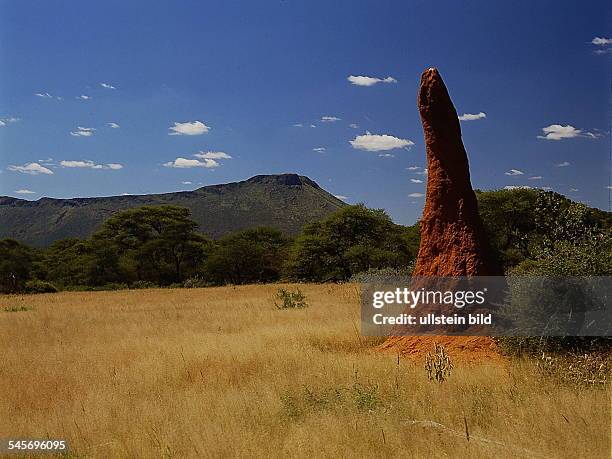 Omaruru: Termitenhügel bei denOmburu-Bergen- 1993