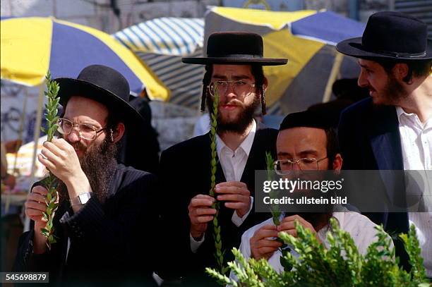 Laubhüttenfest bzw. Sukkot :orthodoxe Juden beim Aussuchen desMyrtenzweiges in Jerusalem- 1997