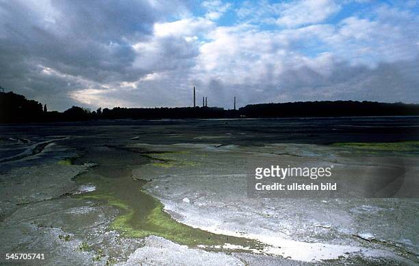 Der `Silbersee' bei Wolfen, einAbwassersee des PhotochemischenKombinats- 1993