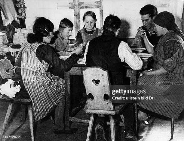 Neurode 51 Neurode Stock Photos, High-Res Pictures, and Images - Getty Images