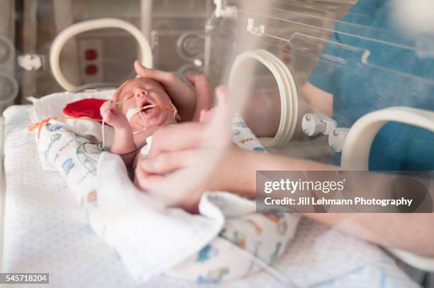 premature baby in nicu - iowa family stock pictures, royalty-free photos & images