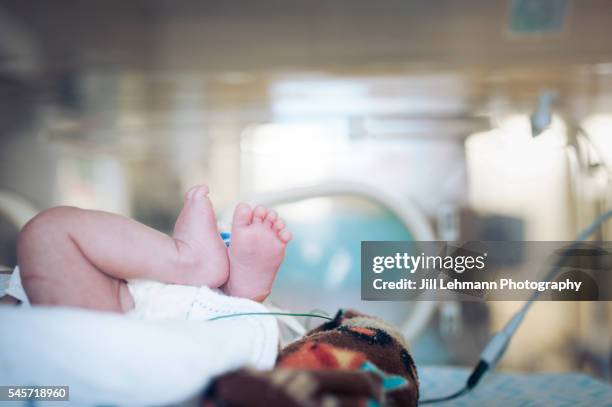 premature baby feet in nicu - neonatal intensive care unit stock pictures, royalty-free photos & images