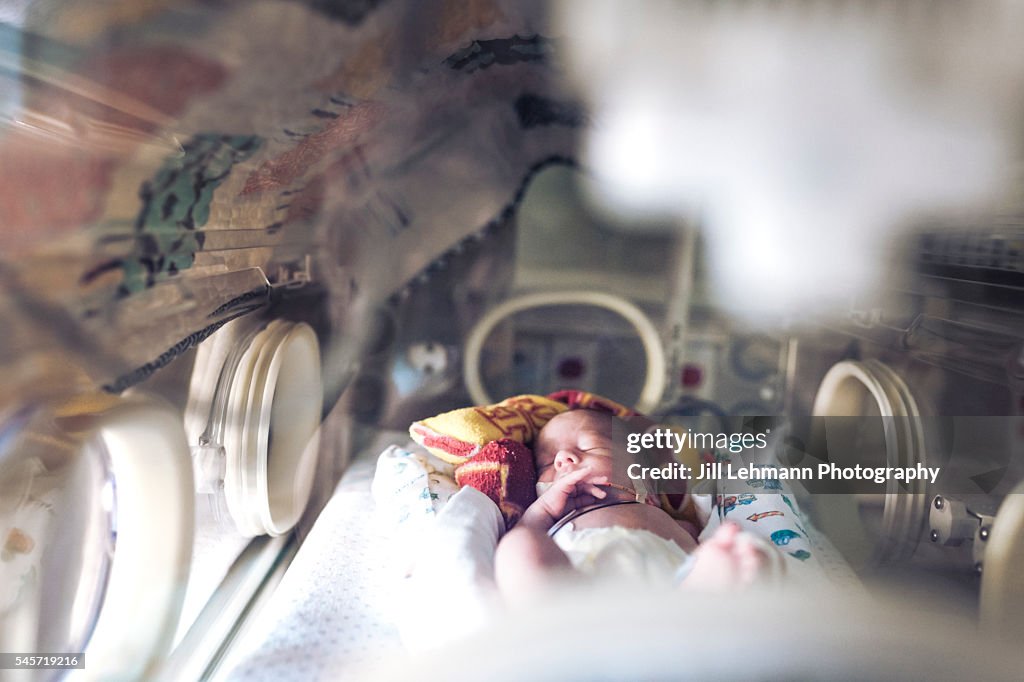 Premature Baby in NICU sleeps in his Isolette