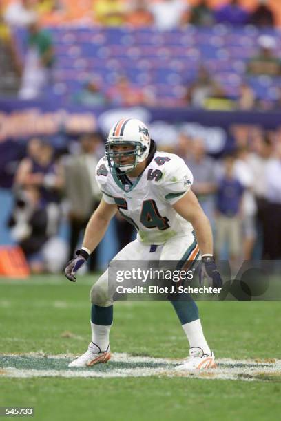 Zach Thomas of the Miami Dolphins during the game against the Carolina Panthers at Pro Player Stadium in Miami, Florida. DIGITAL IMAGE. Mandatory...