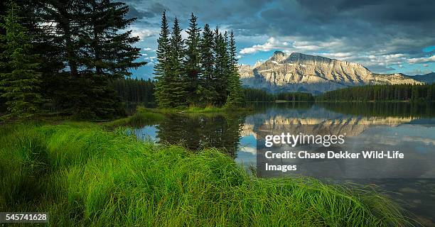 24 Rundle Calgary Stock Photos, High-Res Pictures, and Images - Getty ...