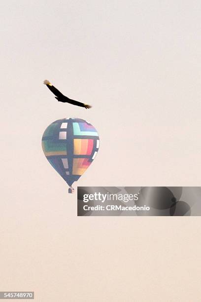 ballooning in piracicaba. - coragem stock pictures, royalty-free photos & images