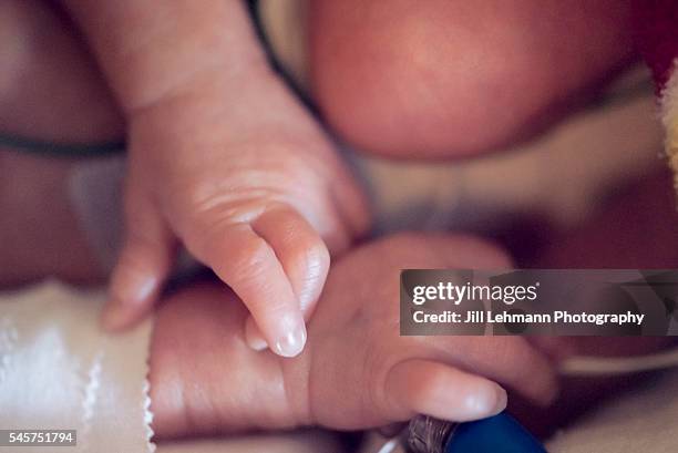 premature baby in nicu - multiple birth stock pictures, royalty-free photos & images