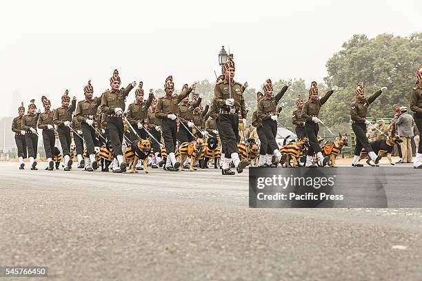 Preparation is going on to celebrate India's 67th Republic Day on Rajpath, from President's House to India Gate. India celebrate Republic Day on...