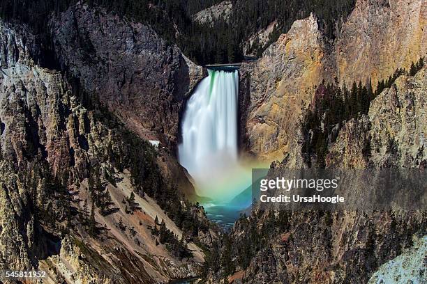 yellowstone waterfall with a rainbow - yellowstone national park stock pictures, royalty-free photos & images