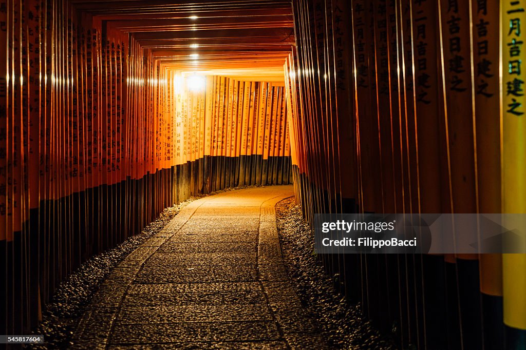 Fushimi Inari Torii Gates In Kyoto, Japan