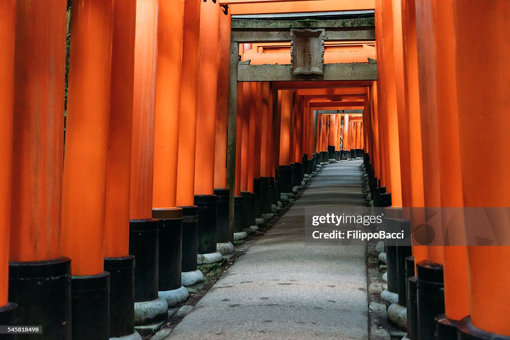 Fushimi Inari Torii Gates In Kyoto, Japan