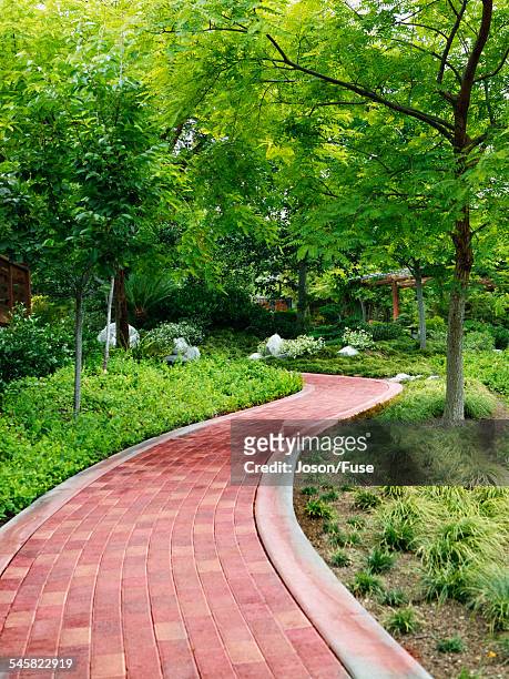 path in the japanese tea garden in balboa park - balboa park - fotografias e filmes do acervo